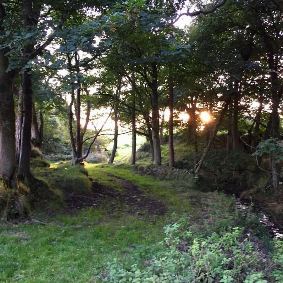 Cwm Connell Coastal Cottages Moylgrove Buitenkant foto
