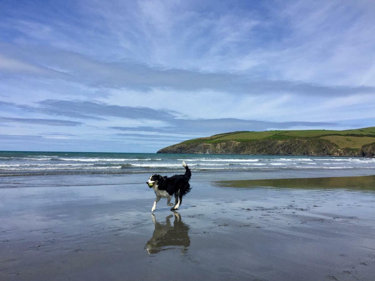 Cwm Connell Coastal Cottages Moylgrove Buitenkant foto